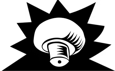 Compagnie Mycélium