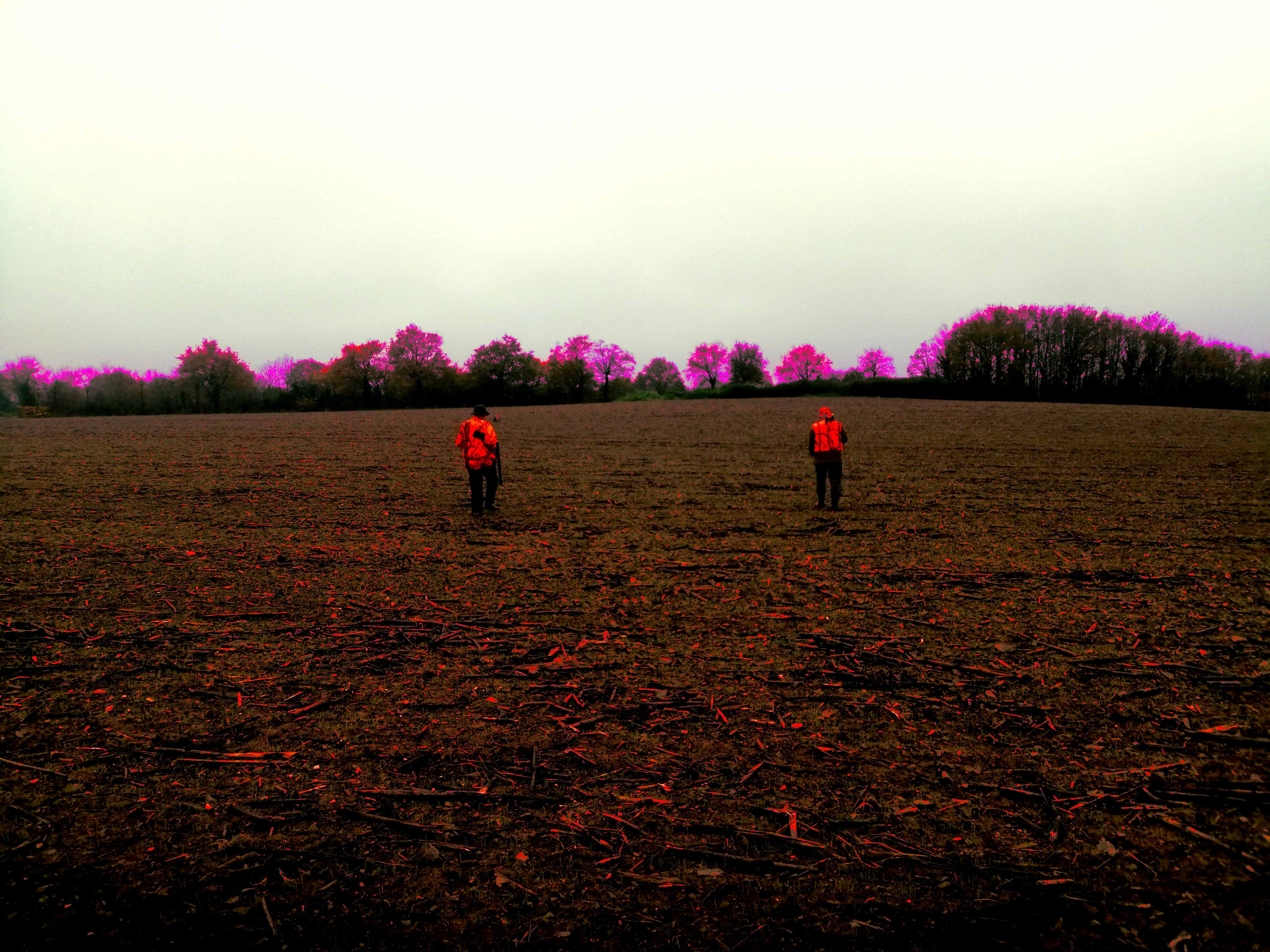 ATREMIS61_CIEMYCELIUM_07