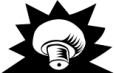 Mycelium_logo-short_noir Mycelium_logo-short_noir